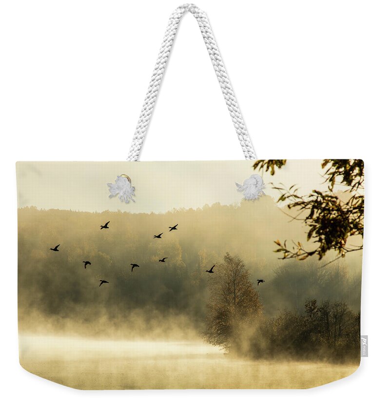 Haley Pond Weekender Tote Bag featuring the photograph Morning fog on Haley Pond in Rangeley Maine by Jeff Folger