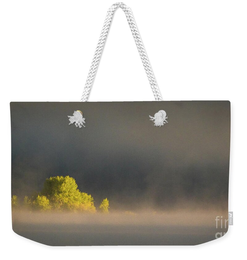 Morning Weekender Tote Bag featuring the photograph Morning fog on Jackson Lake Grand Teton National Park by Brandon Bonafede