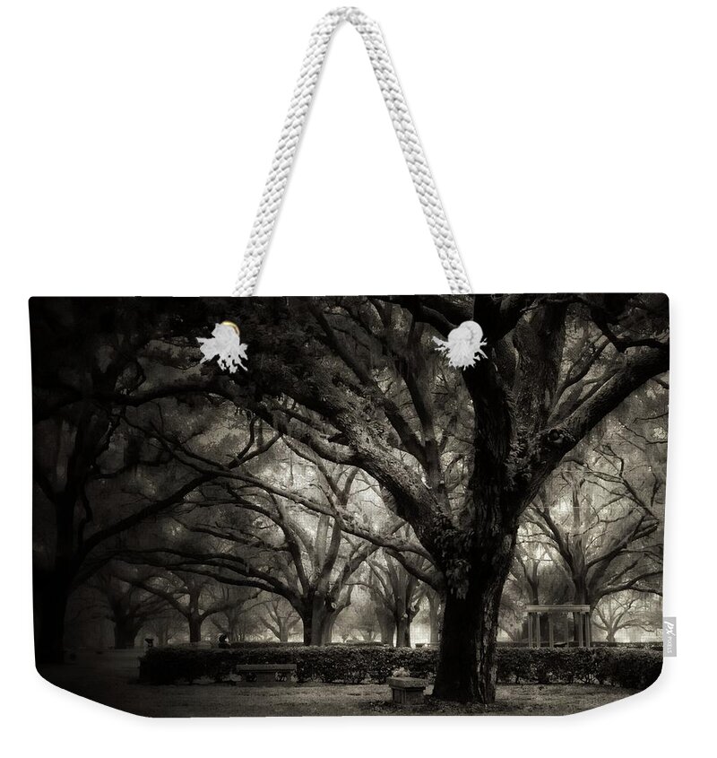 Weekender Tote Bag featuring the photograph Morning Fog by Stoney Lawrentz