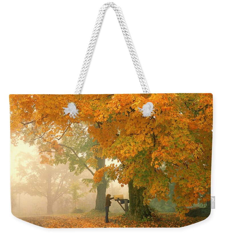 Cambridge Weekender Tote Bag featuring the photograph Morning Mail Cambridge Vermont by George Robinson