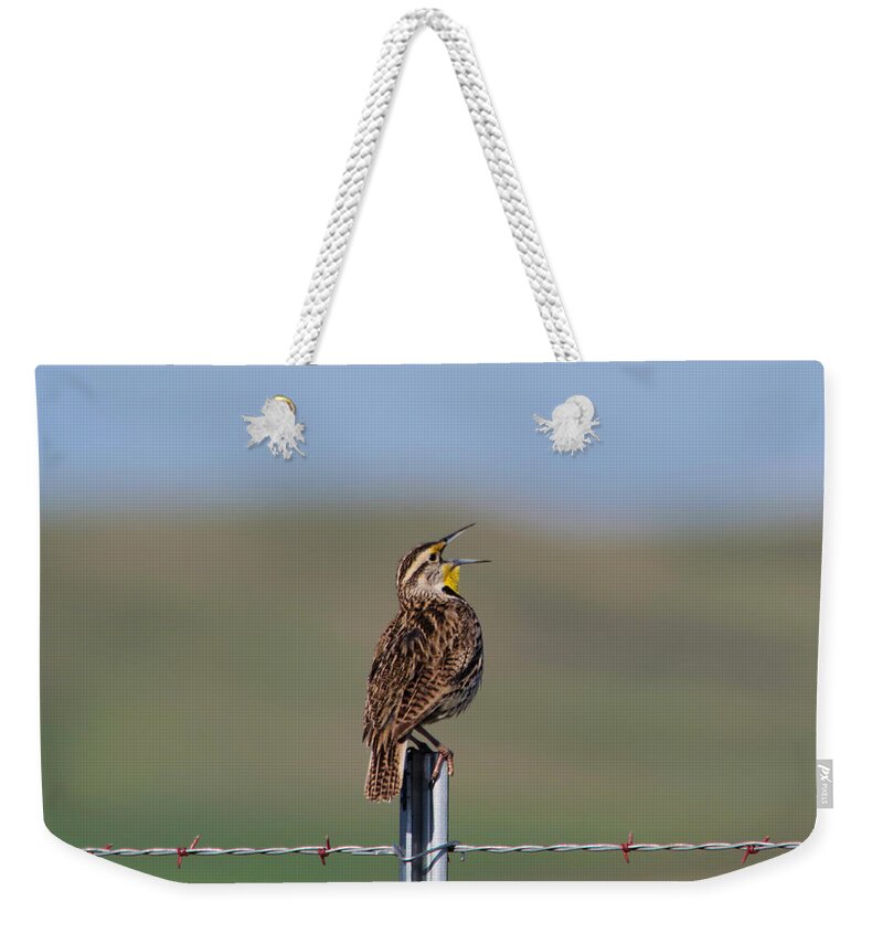 Meadowlark Weekender Tote Bag featuring the photograph Morning song of a meadowlark by Jeff Swan