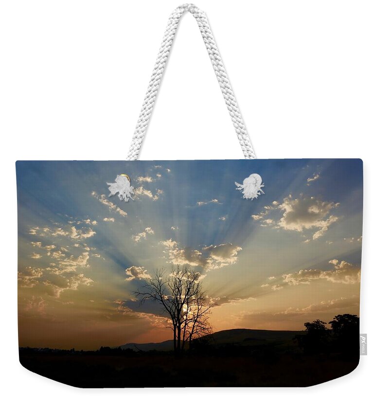 Morning Sun Rays Weekender Tote Bag featuring the photograph Morning sun rays by Lynn Hopwood