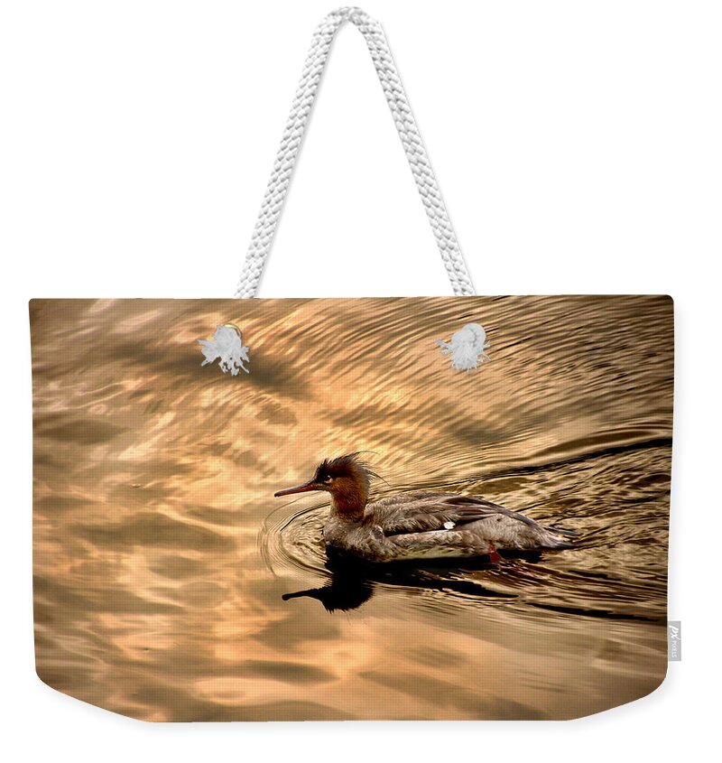 Red-breasted Merganser Weekender Tote Bag featuring the photograph Morning Swim by David Yocum