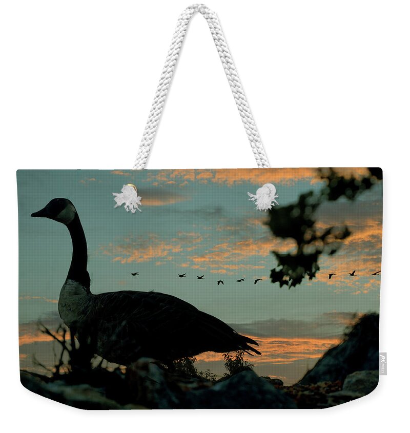 Canadian Geese Weekender Tote Bag featuring the photograph Morning Traffic Canadian Geese by Lesa Fine