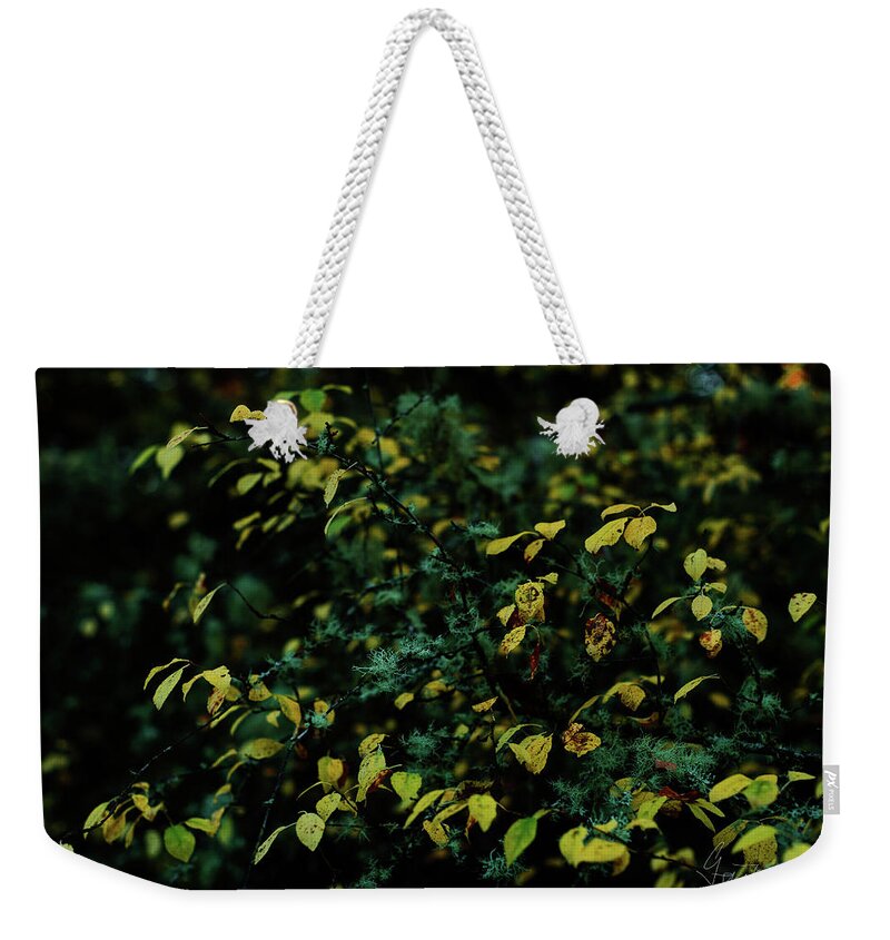 Landscape Weekender Tote Bag featuring the photograph Moss in Colors by Gene Garnace