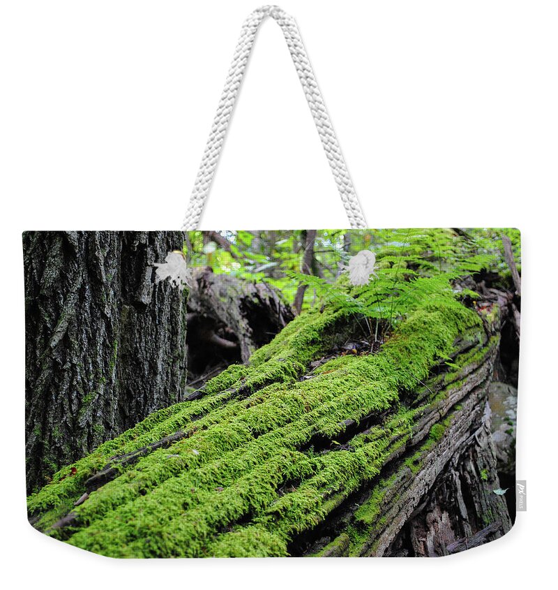  Weekender Tote Bag featuring the photograph Mossy End by Jim Figgins