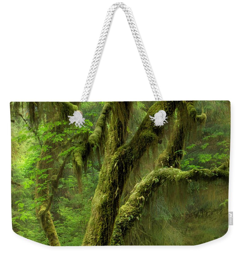  Oregon Weekender Tote Bag featuring the photograph Mossy Maple by Timothy Hacker