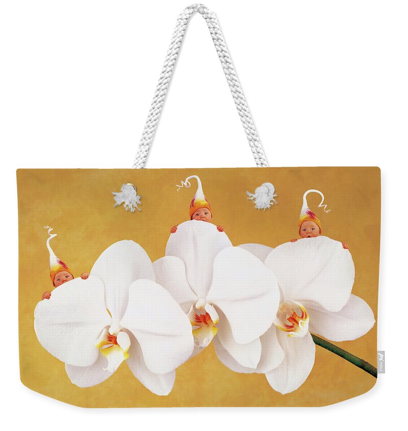 Triplets Weekender Tote Bag featuring the photograph Moth Orchid by Anne Geddes