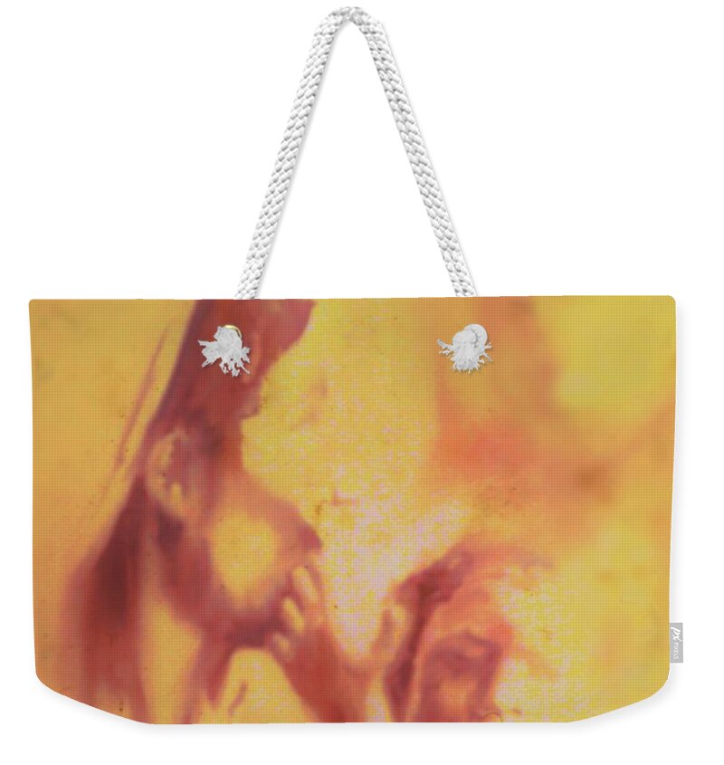 Mother Weekender Tote Bag featuring the painting Mother And Child by Denise F Fulmer