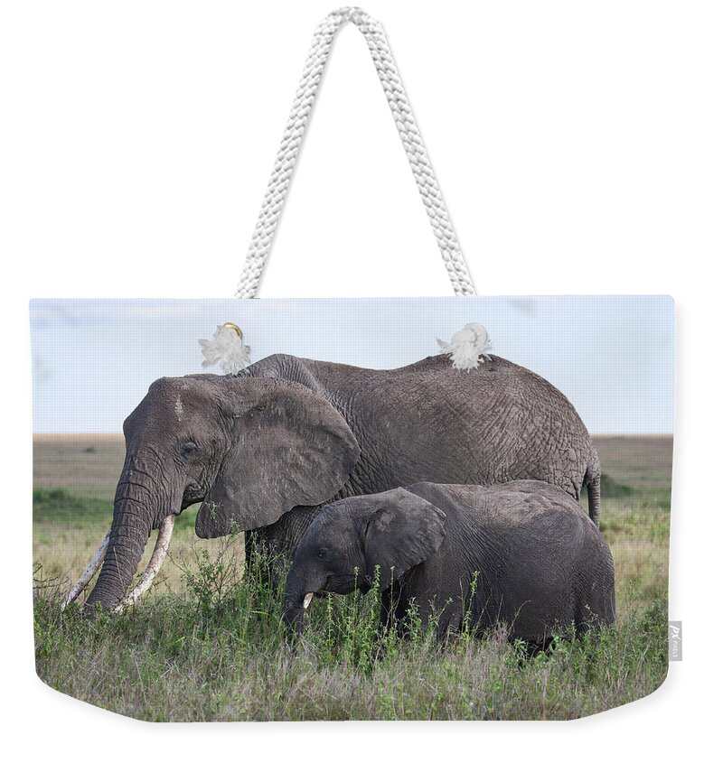African Elephants Weekender Tote Bag featuring the photograph Mother and Young Elephants by Sally Weigand