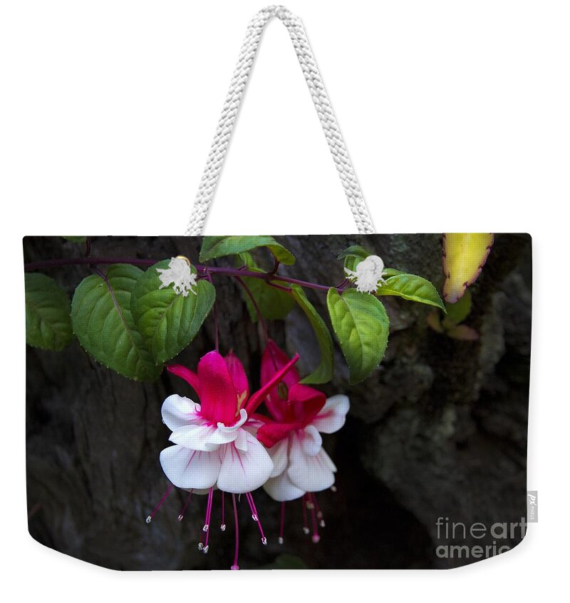 Nature Weekender Tote Bag featuring the photograph Mother Nature Is Amazing by Al Bourassa