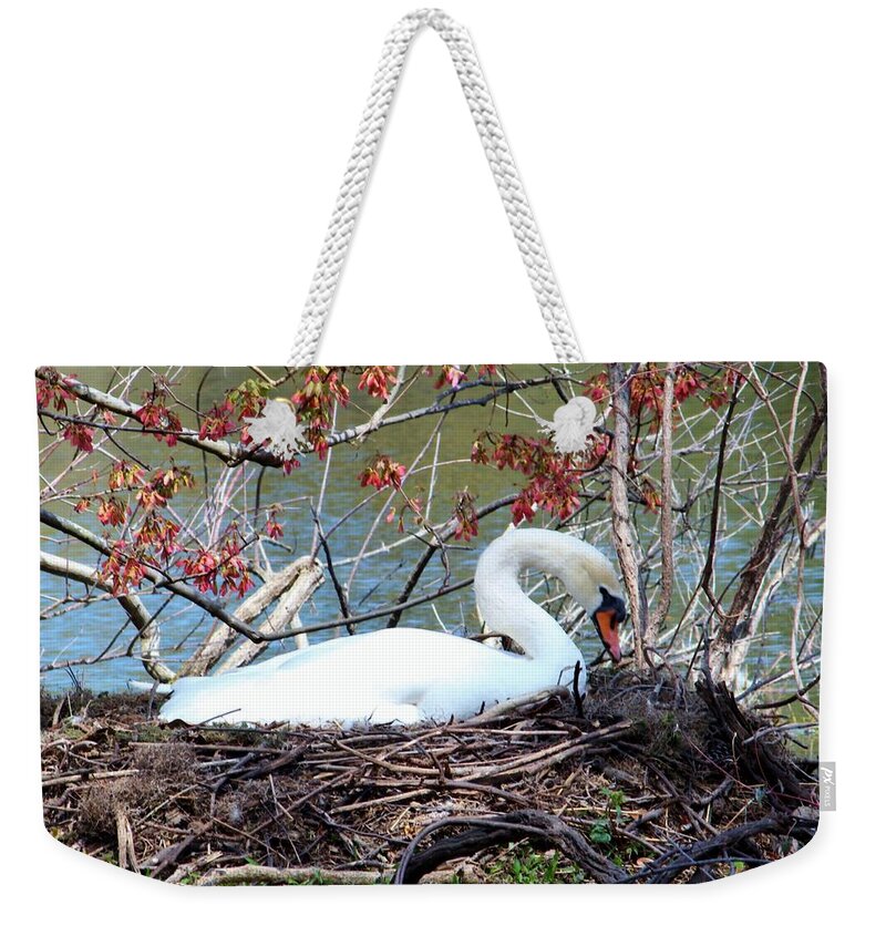 Swan Weekender Tote Bag featuring the photograph Mother Swan by Cynthia Guinn