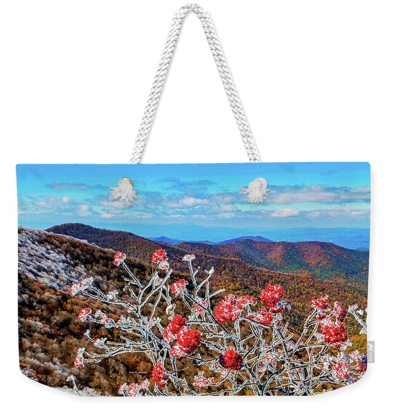 Blue Ridge Mountains Weekender Tote Bag featuring the photograph Mountain Ashe by Dale R Carlson
