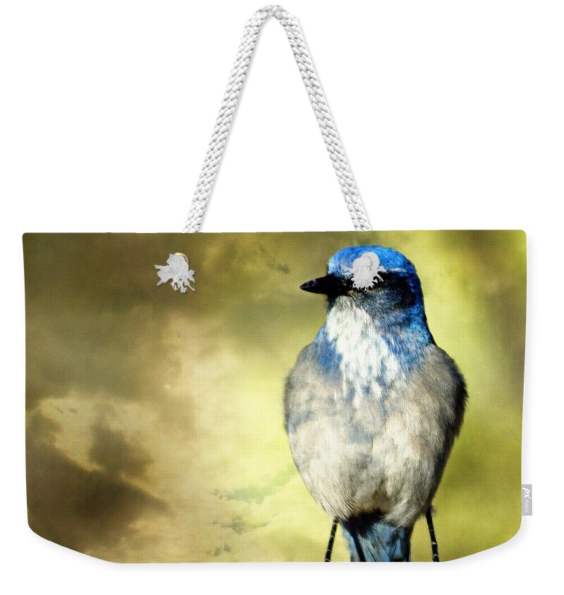 Bird Weekender Tote Bag featuring the photograph Mountain Bluebird by Marty Koch