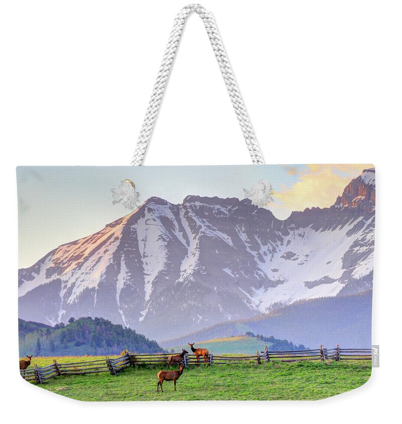 Elk Weekender Tote Bag featuring the photograph Mountain Elk by Scott Mahon