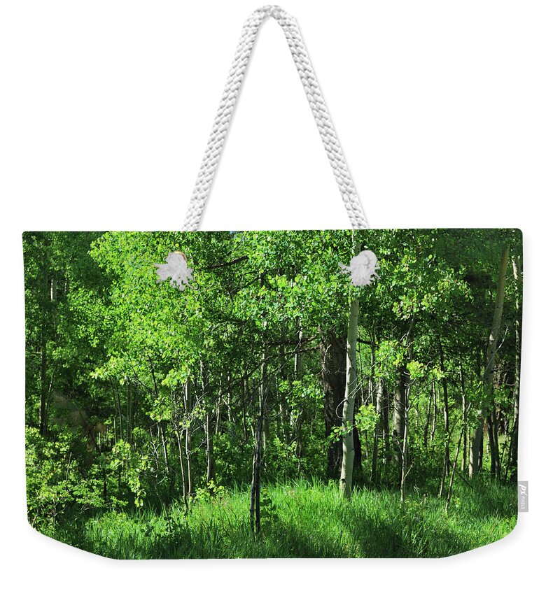 Trees Weekender Tote Bag featuring the photograph Mountain Greenery by Ron Cline