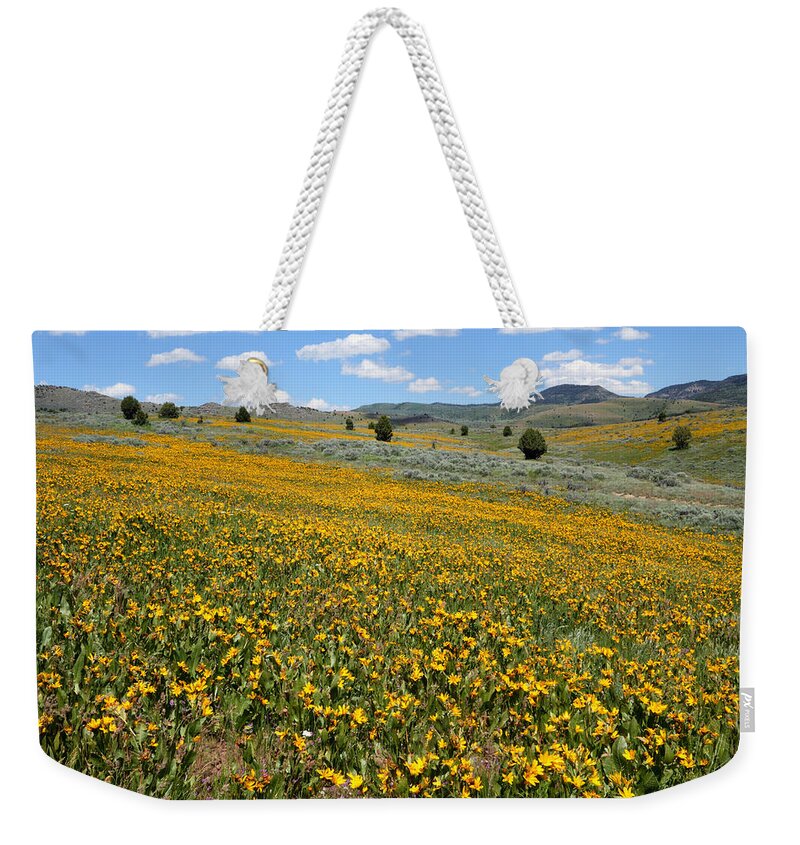 No People Weekender Tote Bag featuring the photograph Mountain Meadows of Yellow Wildflowers by Brett Pelletier