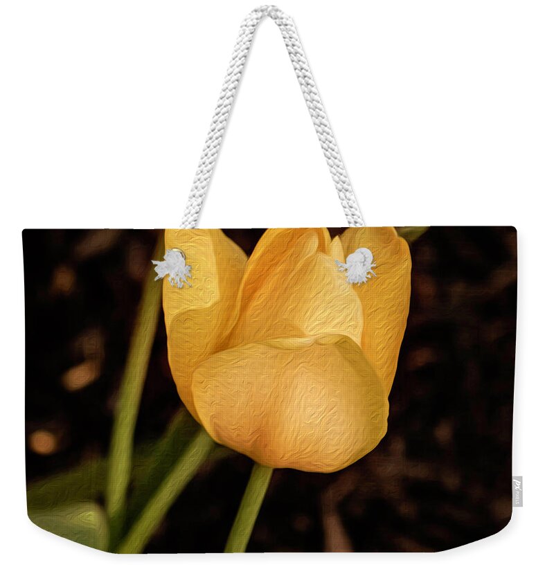 Yellow Tulip Weekender Tote Bag featuring the photograph Mountain Tulip by Cynthia Wolfe