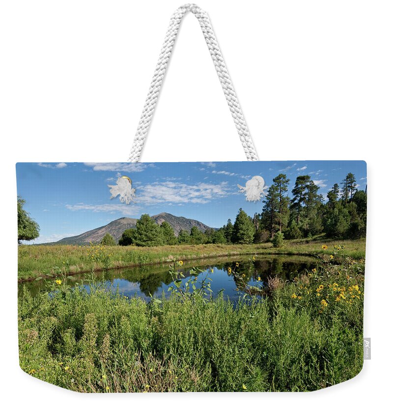 Arizona Weekender Tote Bag featuring the photograph Mountains Reflected in a Pond by Jeff Goulden