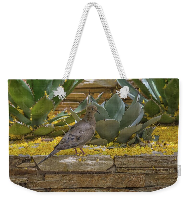 Mourning Weekender Tote Bag featuring the photograph Mourning Dove 5875-041118-1 by Tam Ryan