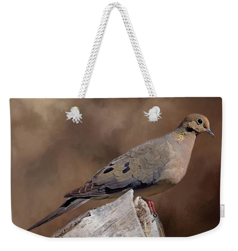 Mourning Dove Weekender Tote Bag featuring the photograph Mourning Dove by Donna Kennedy