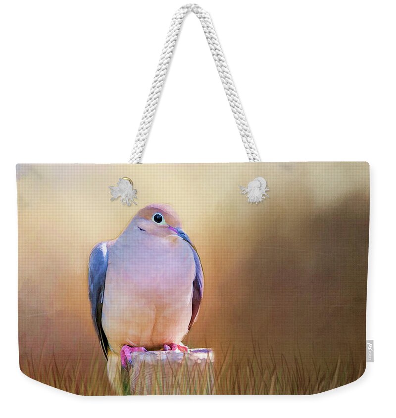 Dove Weekender Tote Bag featuring the photograph Mourning Dove Painted Portrait by Cathy Kovarik