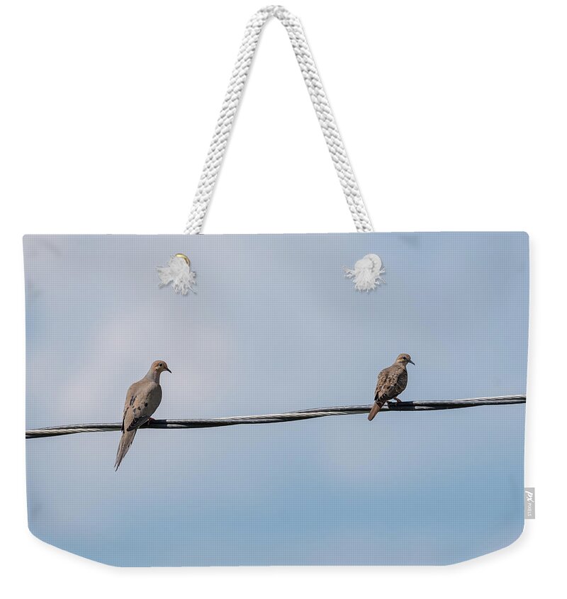 Mourning Doves Weekender Tote Bag featuring the photograph Mourning Doves by Holden The Moment