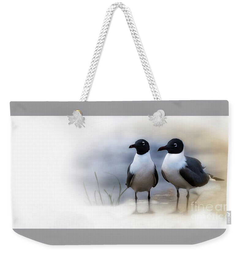 Laughing Gulls Weekender Tote Bag featuring the photograph Mr and Mrs Laughing Gull by Mary Lou Chmura