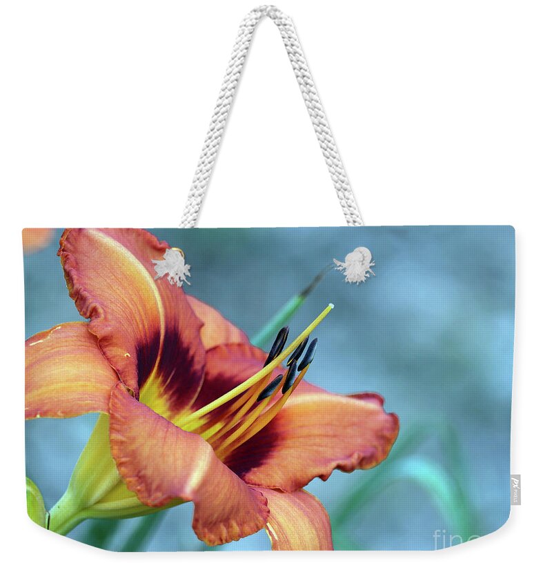 Daylilly Weekender Tote Bag featuring the photograph Mr. Brown's Daylilly 001 by Ausra Huntington nee Paulauskaite