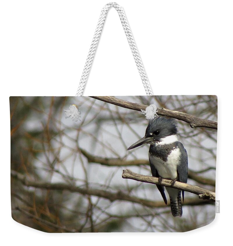 Belted Kingfisher Weekender Tote Bag featuring the photograph Mr. Kingfisher by Kimberly Mackowski