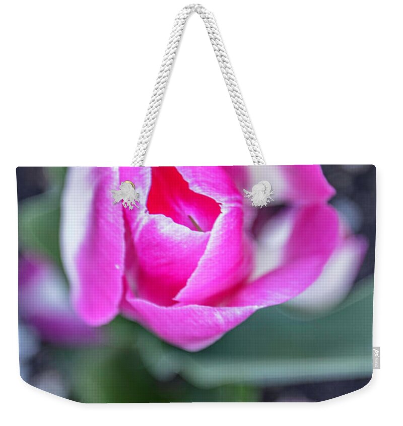 Big Ten Weekender Tote Bag featuring the photograph MSU Spring 15 by John McGraw