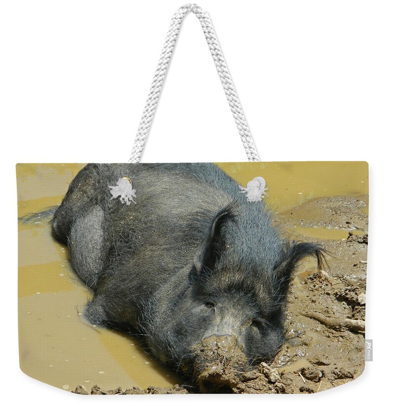 Hog Weekender Tote Bag featuring the photograph Mud Spa by Emmy Marie Vickers