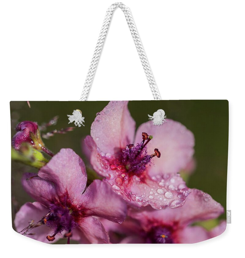 Astoria Weekender Tote Bag featuring the photograph Mullein in the Mist by Robert Potts