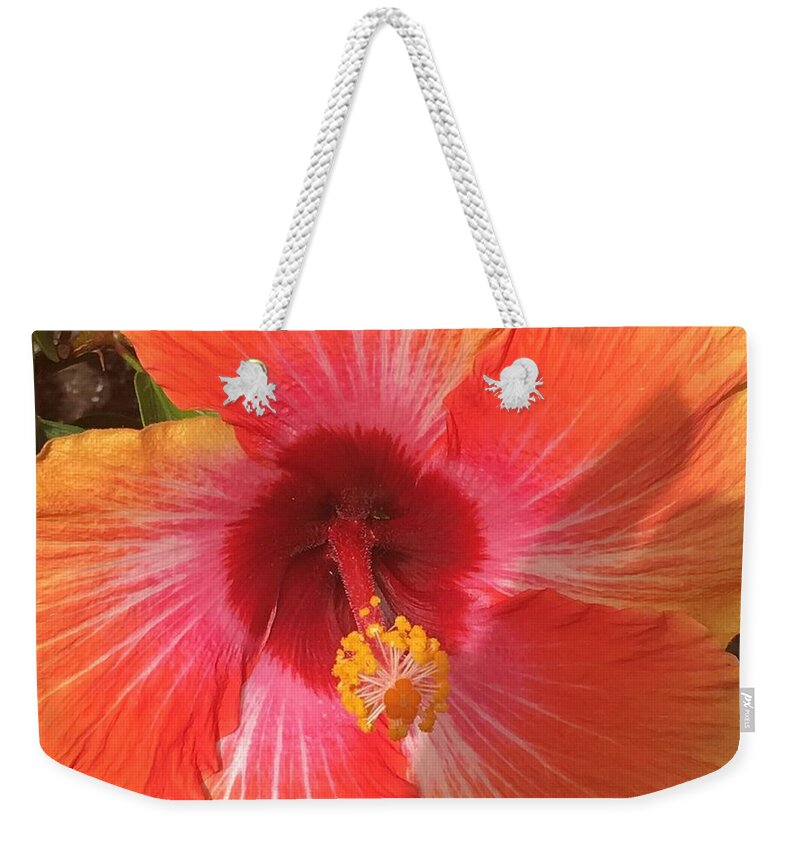 Hibiscus Weekender Tote Bag featuring the photograph Multi-Colored Beauty by Val Oconnor