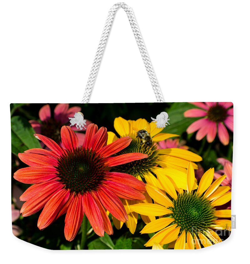 Flower Weekender Tote Bag featuring the photograph Multi Colored Susans by Kevin Fortier