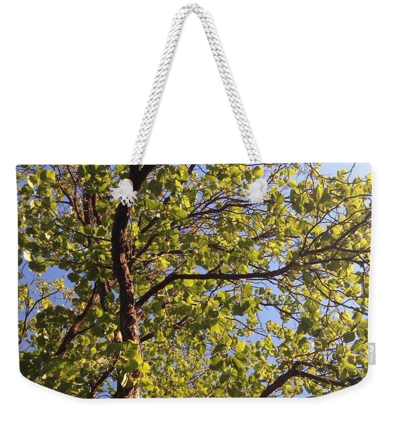 Multiplicity Weekender Tote Bag featuring the photograph Multiplicity by Nora Boghossian