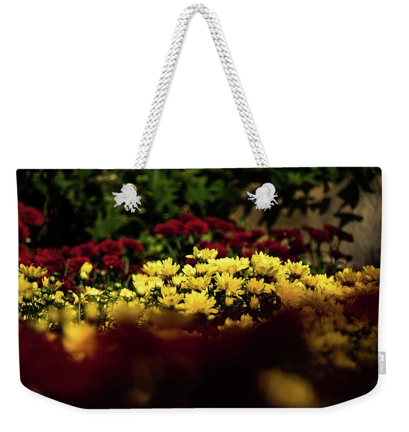 Jay Stockhaus Weekender Tote Bag featuring the photograph Mums by Jay Stockhaus