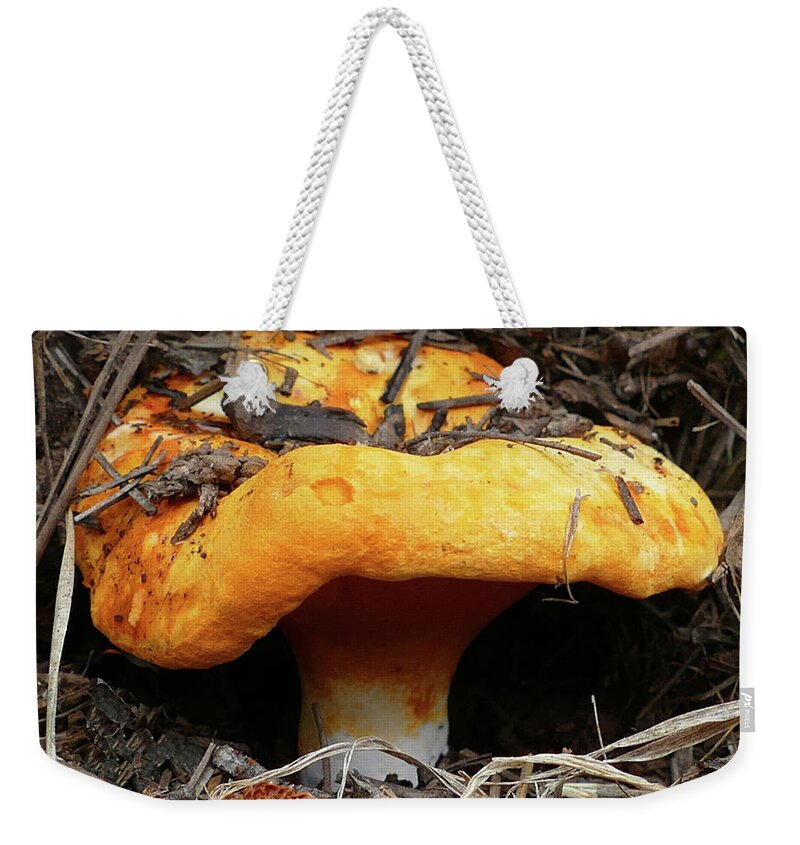 Lobster Weekender Tote Bag featuring the photograph Mushroom in the Pines by Laurel Powell