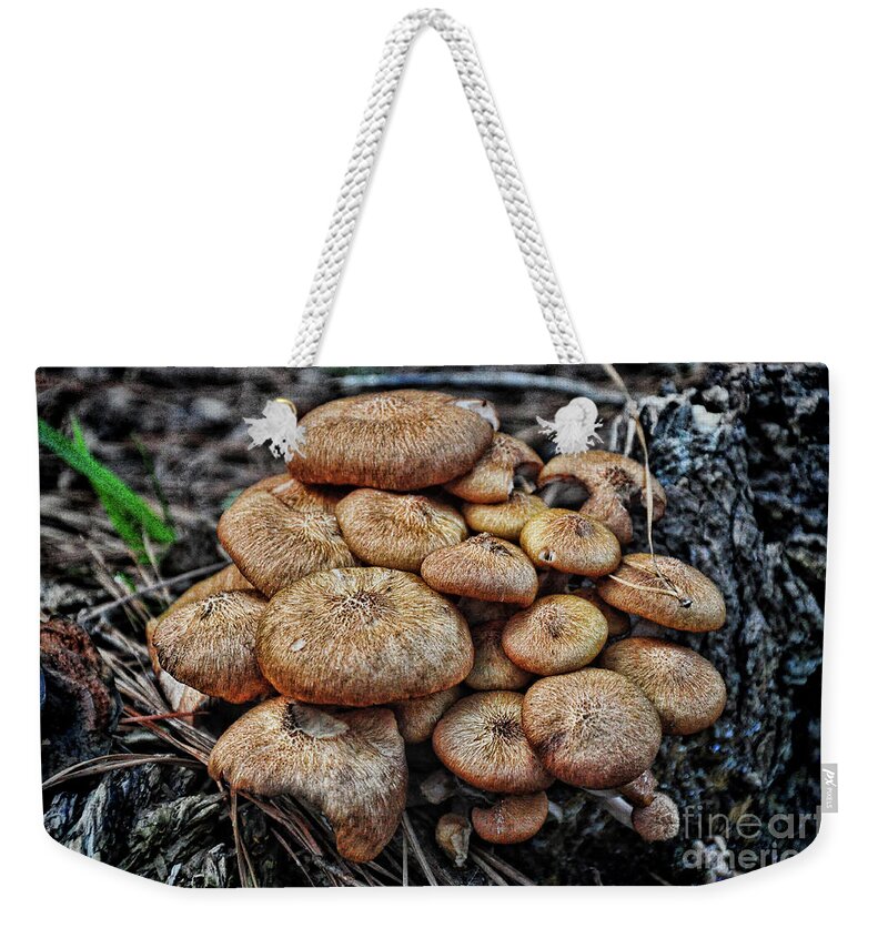 Mushroom Weekender Tote Bag featuring the photograph Mushroom Nest by Randy Rogers