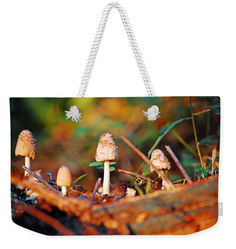 Mushrooms Weekender Tote Bag featuring the photograph Mushrooms by Robert Meanor