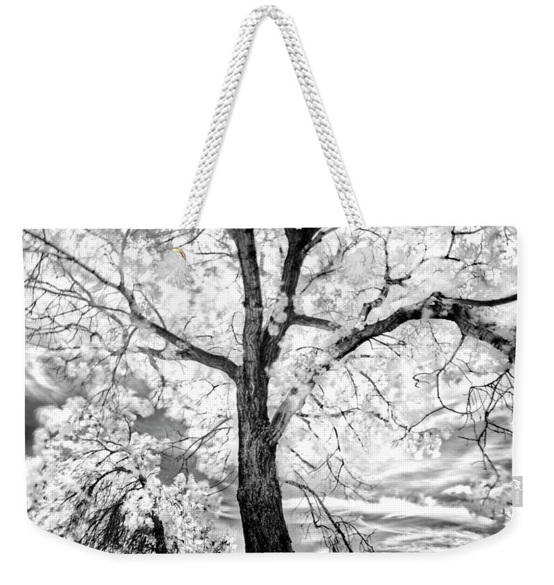 Infrared Weekender Tote Bag featuring the photograph Music Moves The Soul by Dan Jurak