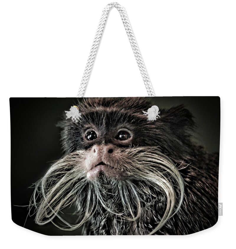 Mustached Monkey Weekender Tote Bag featuring the photograph Mustache Monkey III Altered by Jim Fitzpatrick