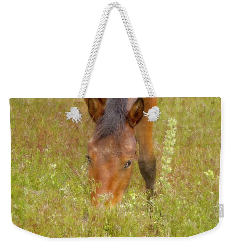 Horse Weekender Tote Bag featuring the photograph Mustang in the Grass by Waterdancer