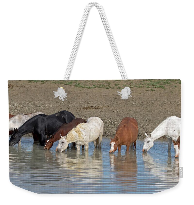 Mustang Weekender Tote Bag featuring the photograph Mustang Water Hole by Mindy Musick King