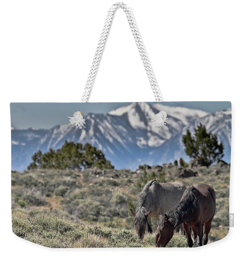 Horse Weekender Tote Bag featuring the photograph Mustangs in the Sierra Nevada Mountains by Waterdancer