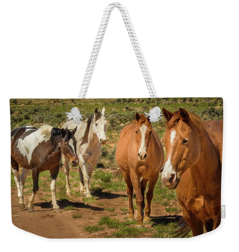 Mustangs Weekender Tote Bag featuring the photograph Mustangs On The Range by Daniel Dean
