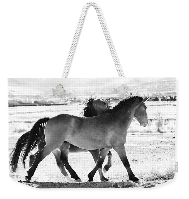 Mustangs Weekender Tote Bag featuring the photograph Mustangs by Maria Jansson