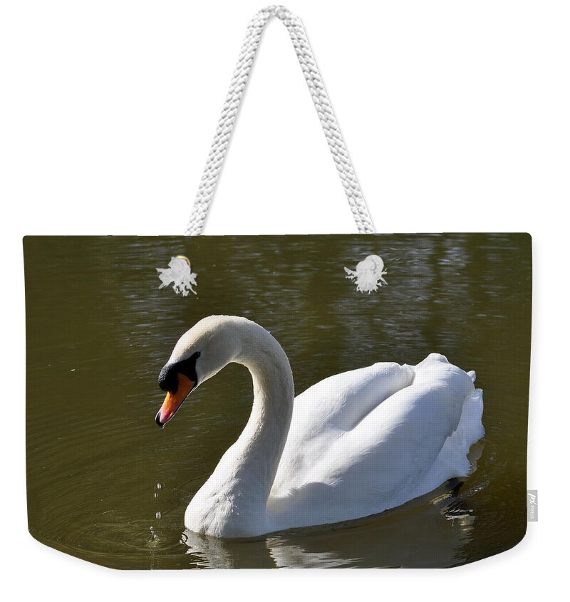 Outdoors Weekender Tote Bag featuring the photograph Mute Swan on Rolleston Pond by Rod Johnson