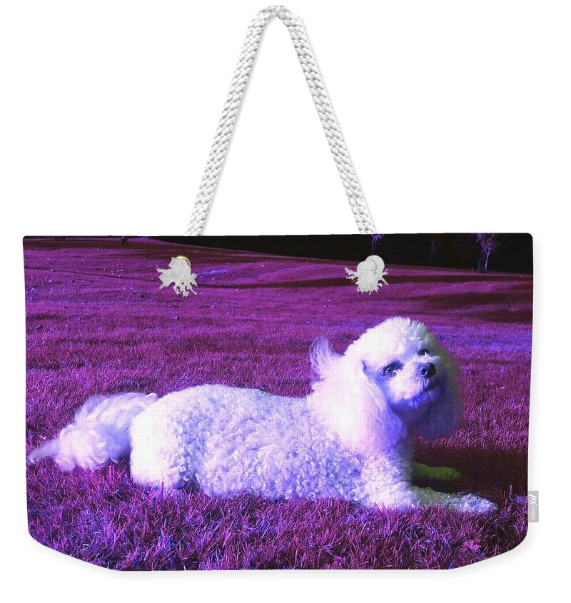 Fantasy Weekender Tote Bag featuring the photograph My Best Side In Pink Dusk Bright by Rowena Tutty