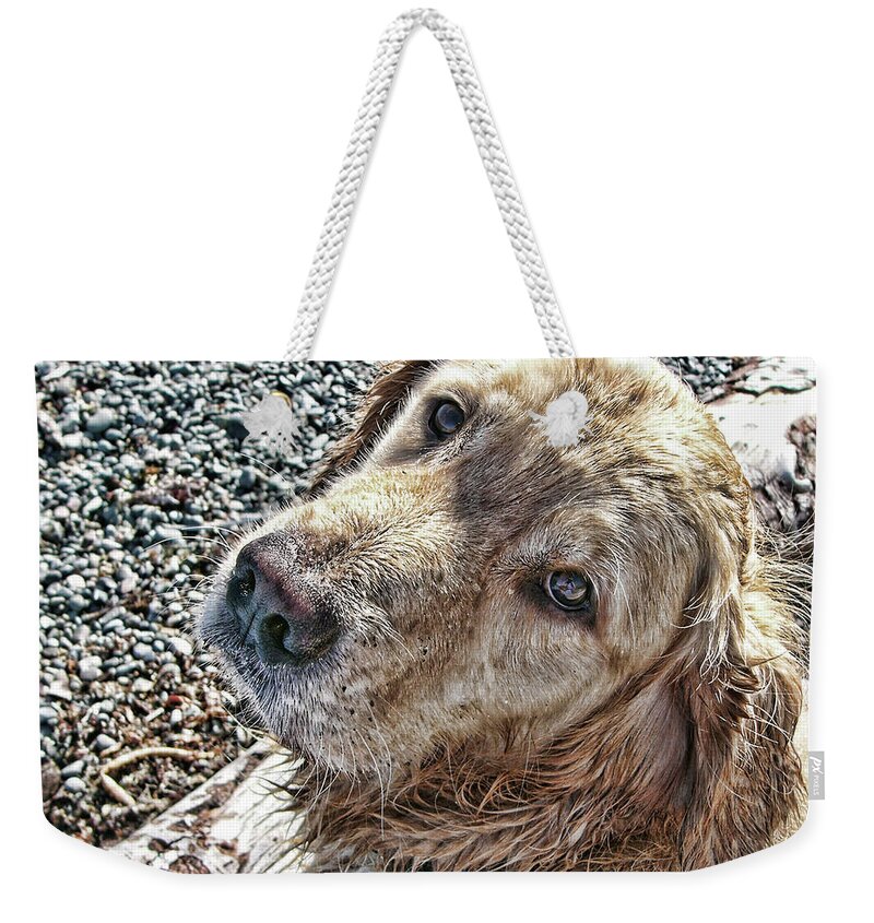 Nature Weekender Tote Bag featuring the photograph My Boy by Rhonda McDougall